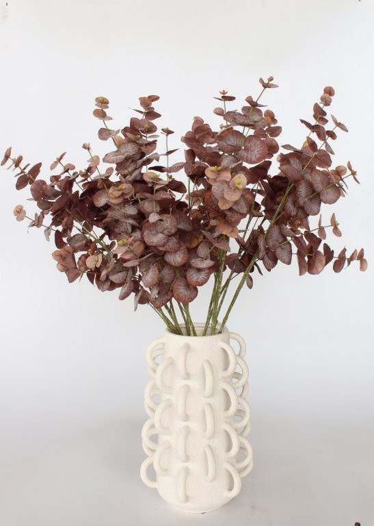 Rust Eucalyptus Stem - Min 3